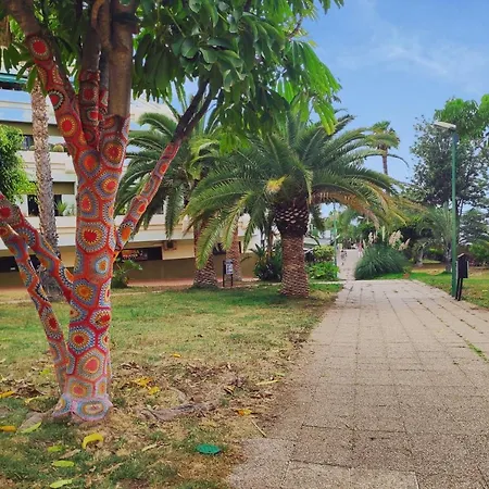 Sunset Lover Playa Jardin Puerto de la Cruz (Tenerife)