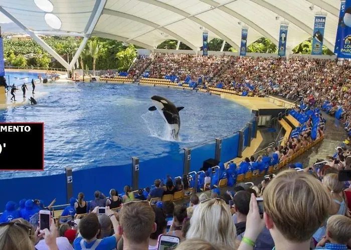 Sunset Lover Playa Jardin Lägenhet Puerto de la Cruz (Tenerife)
