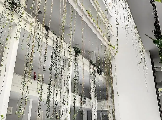 Sunset Lover Playa Jardin Lägenhet *